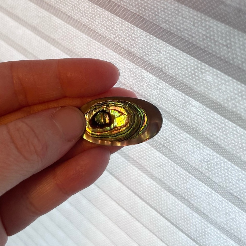 Iridescent Abalone Shell Broach - image 3